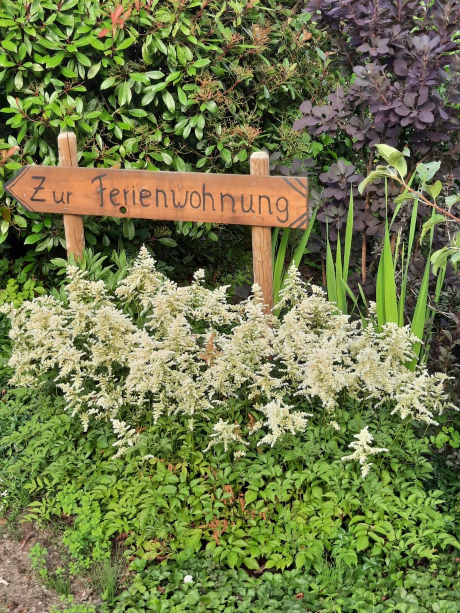 Ferienwohnung Van Den Berg Rees Luaran gambar